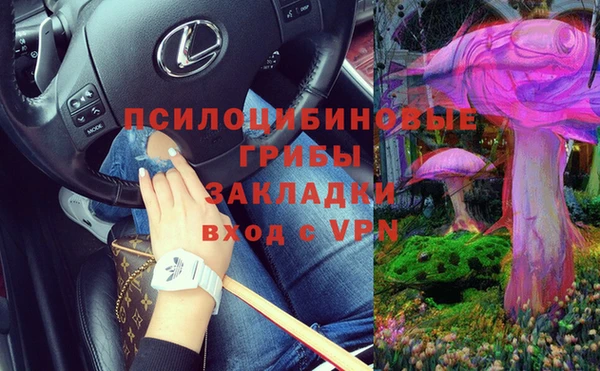 крисы Абинск
