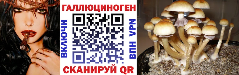 Галлюциногенные грибы прущие грибы  купить   Инсар 